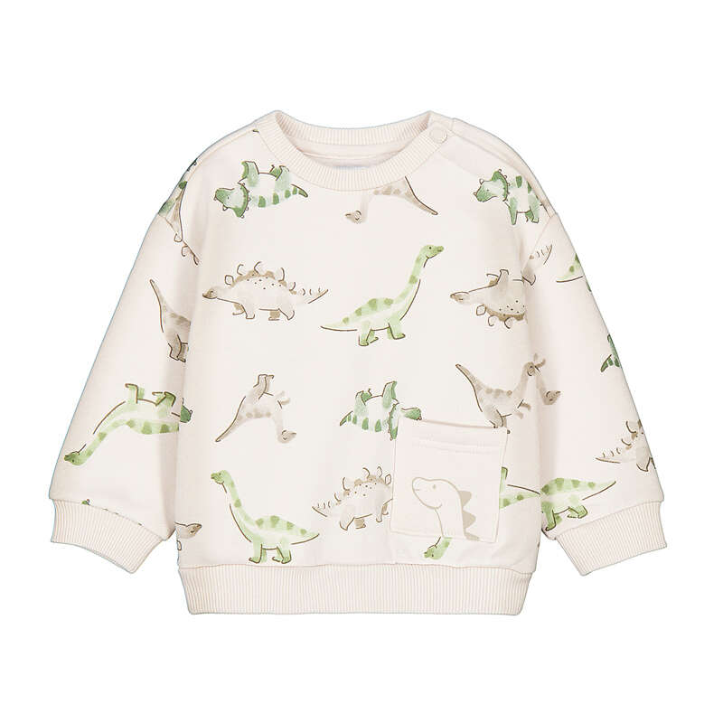 Dino Crewneck Sweatshirt