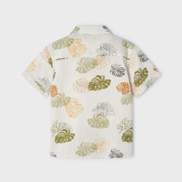 Iguana grn S/s buttondown shirt