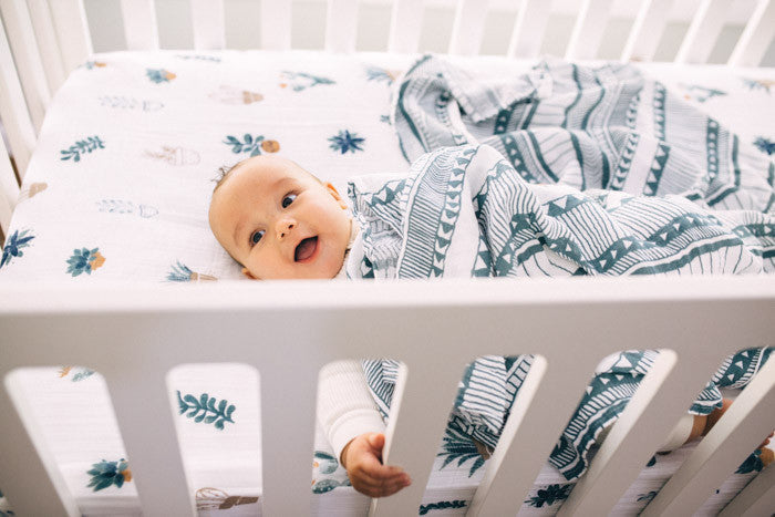 Bison Swaddle Set