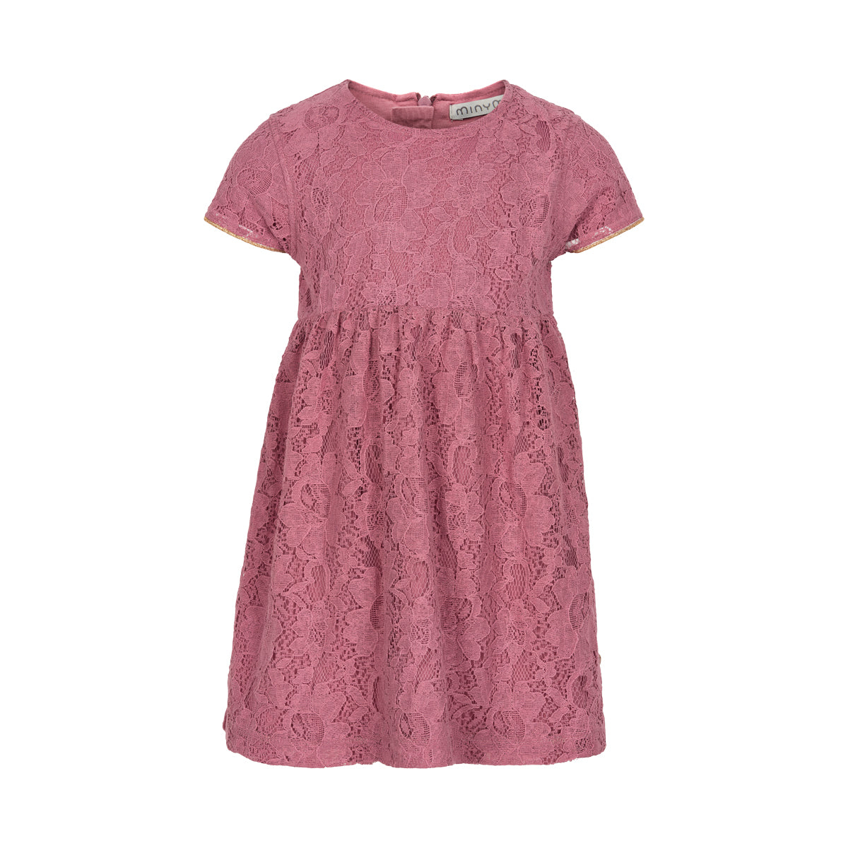 Mesa Rose Lace Dress