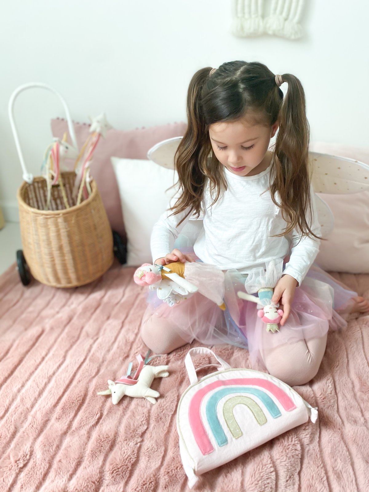 Rainbow Purse and Friends