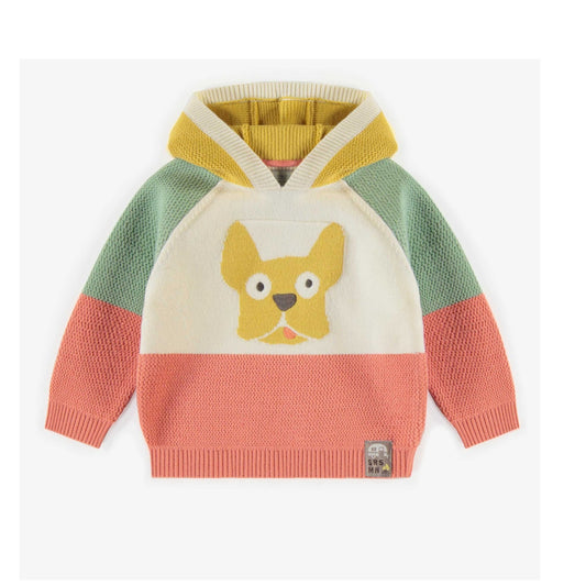 Hooded sweater color block with dog illustration