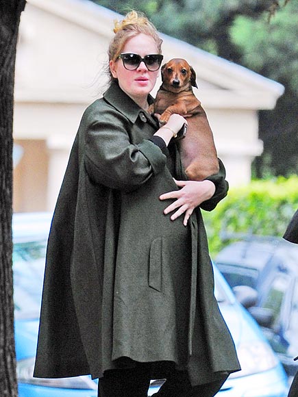 Fall Celebrity Baby Bump Watch 2012