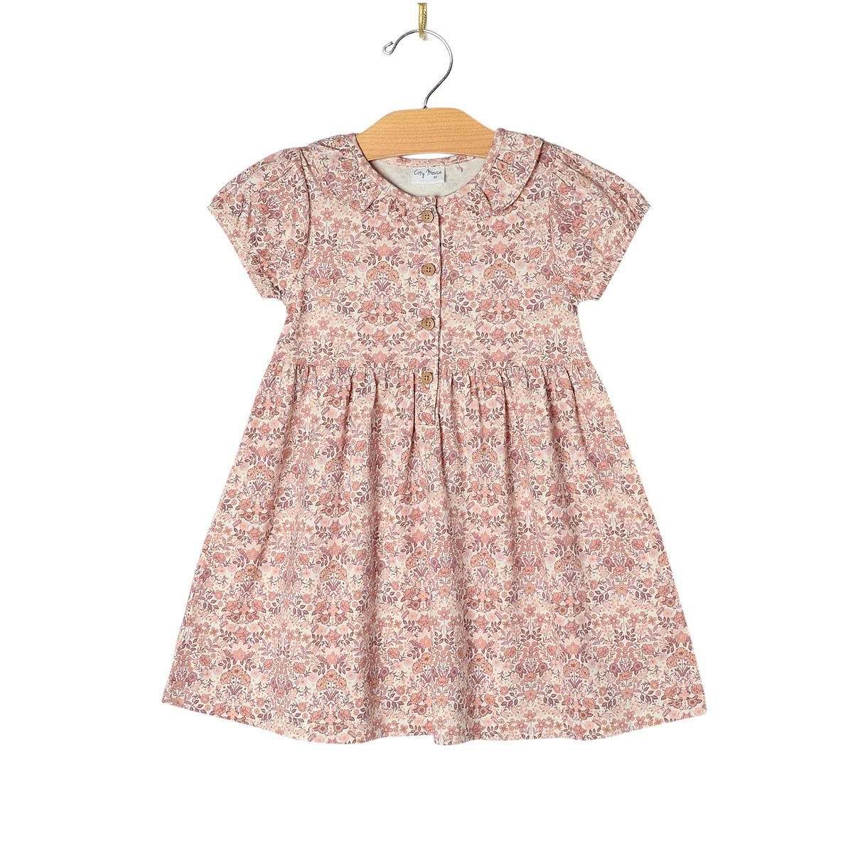 Spring Bouquet Frill Collar Puff Sleeve Dress