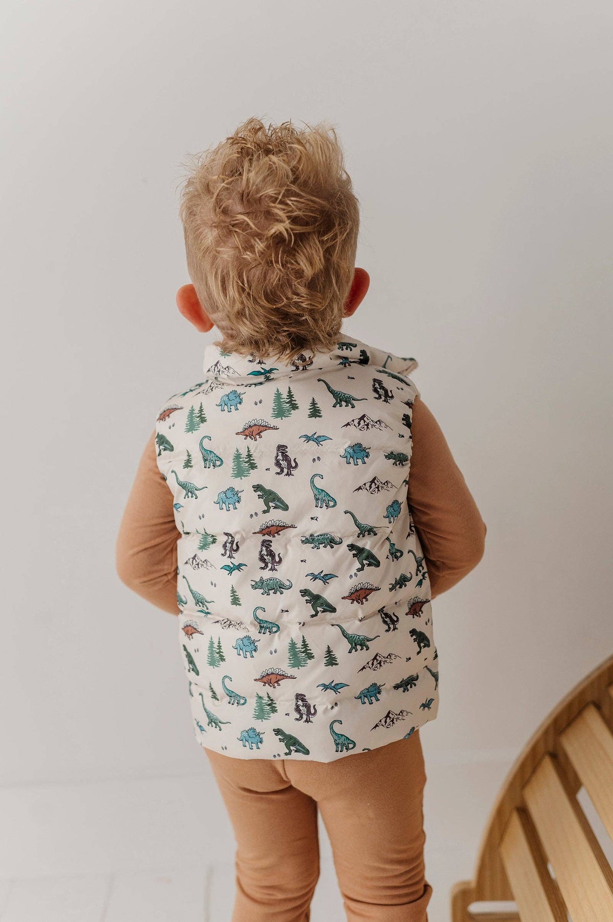 Dino Land Puffer Vest