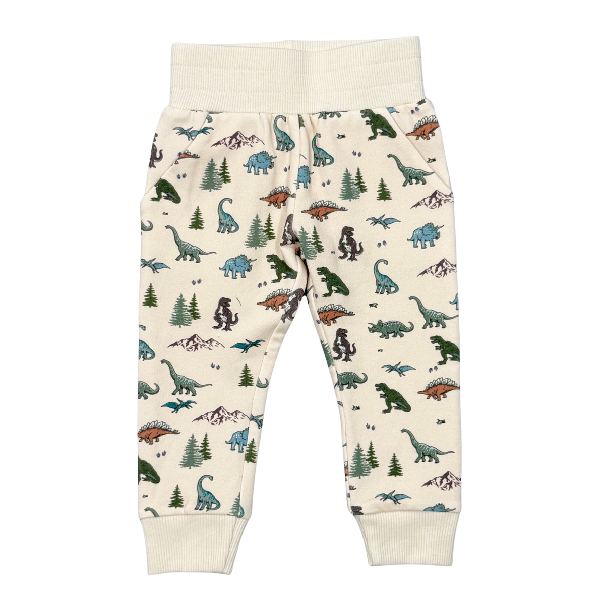 Dino Land Fleece Sweatpants