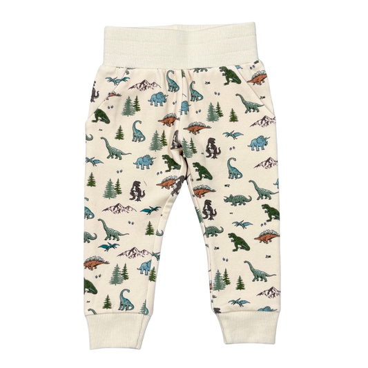 Dino Land Fleece Sweatpants