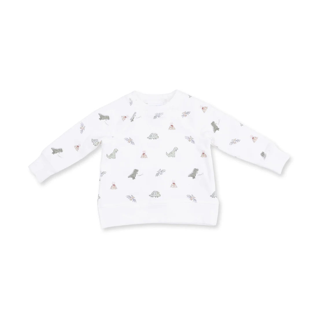 Dinos French Terry Raglan Sweatshirt