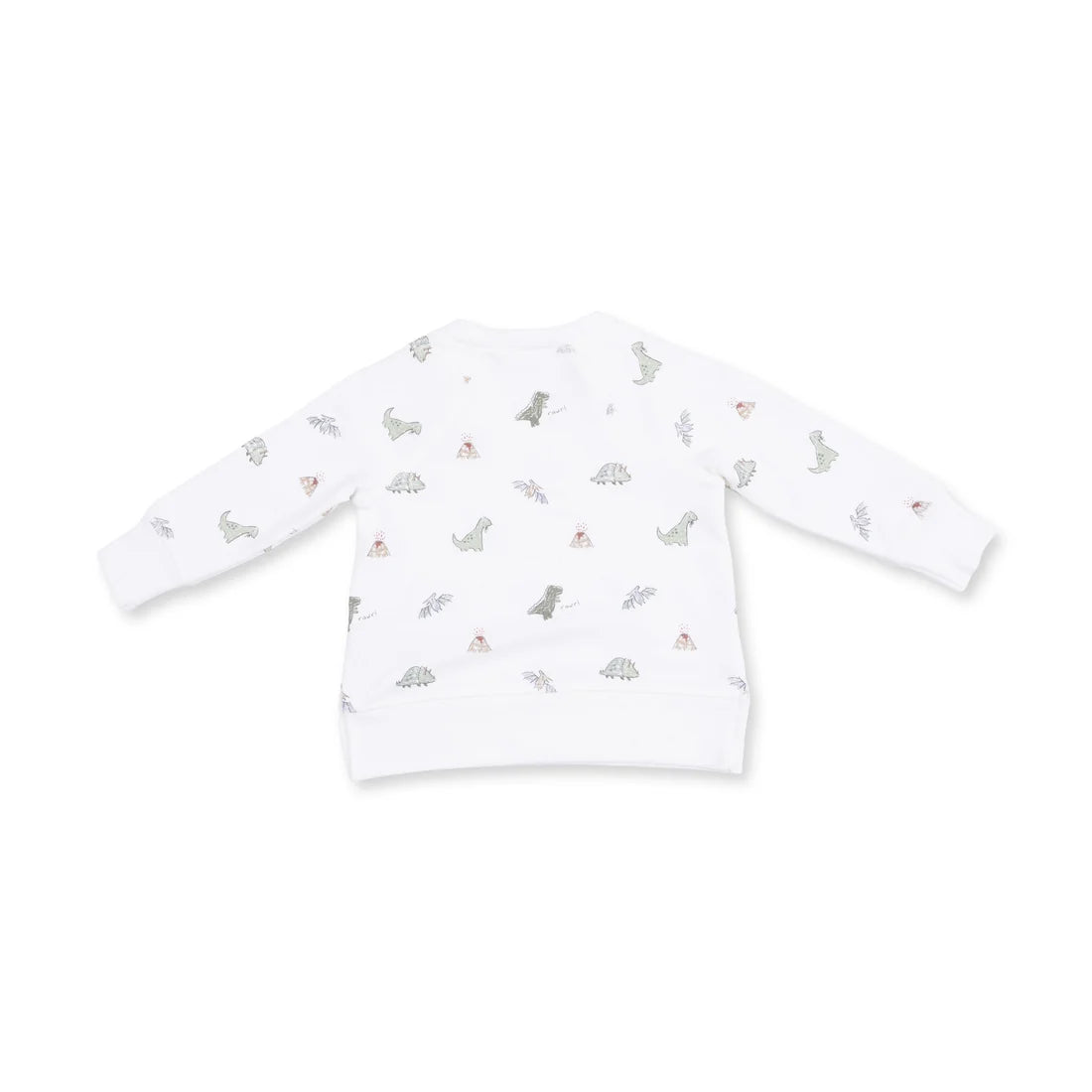 Dinos French Terry Raglan Sweatshirt