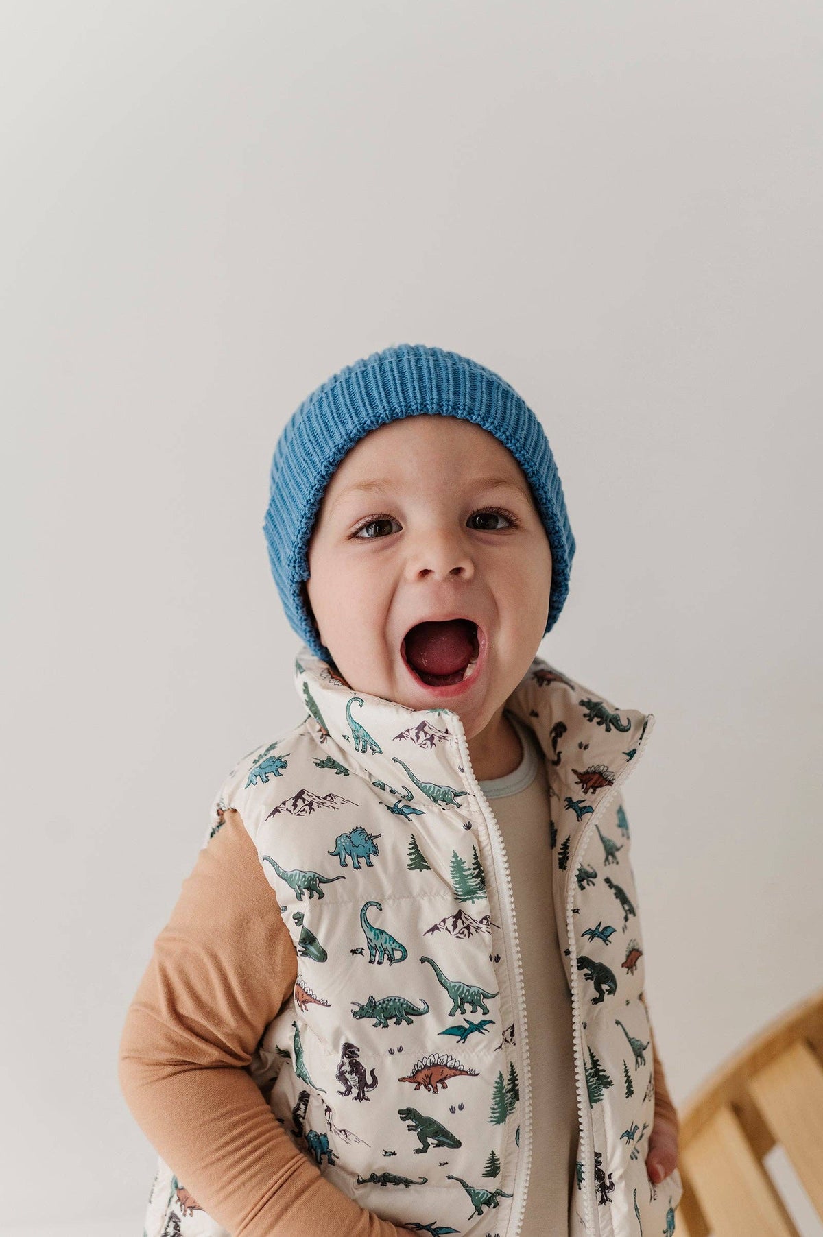 Dino Land Puffer Vest