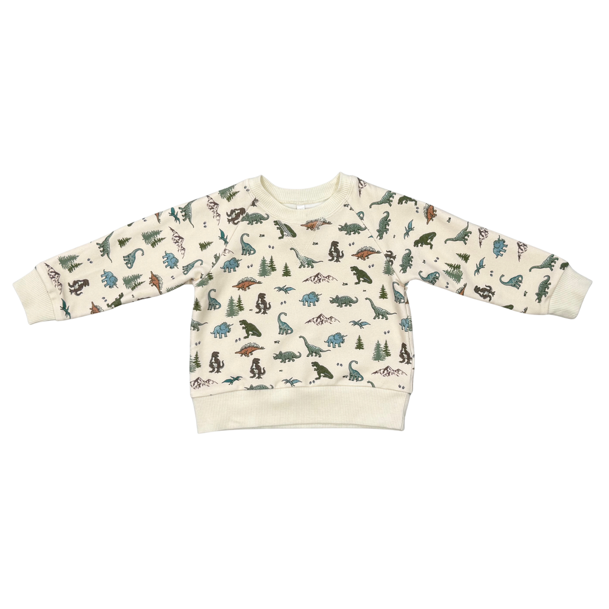 Dino Land Fleece Sweatshirt
