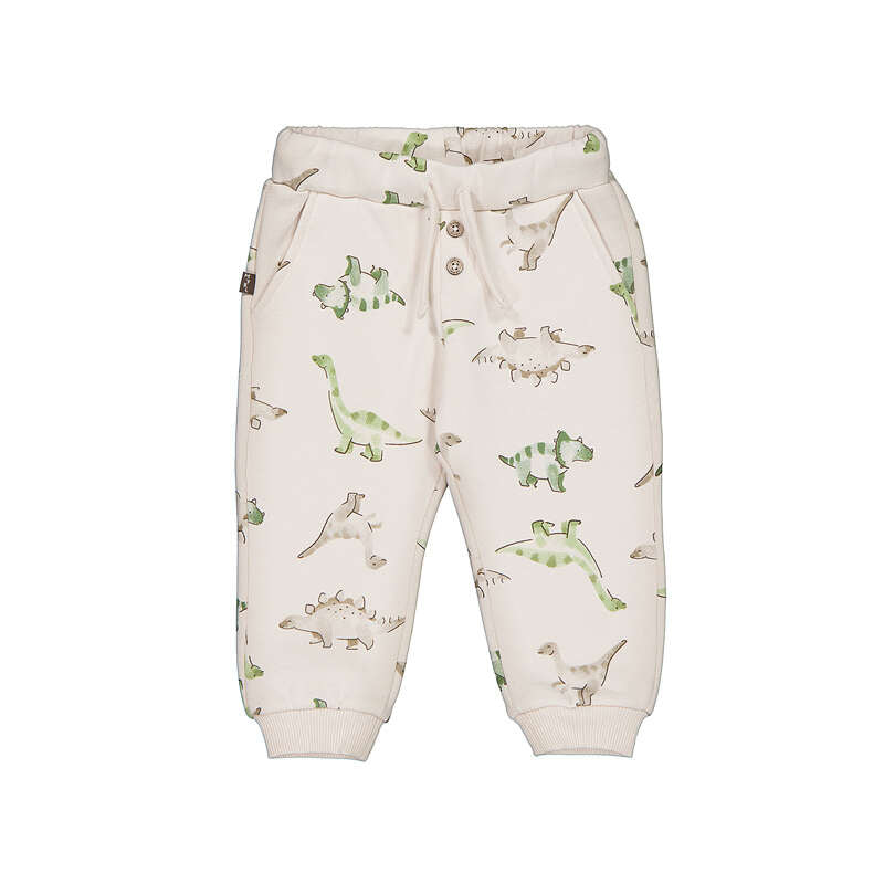 Dino Jogger Joggers