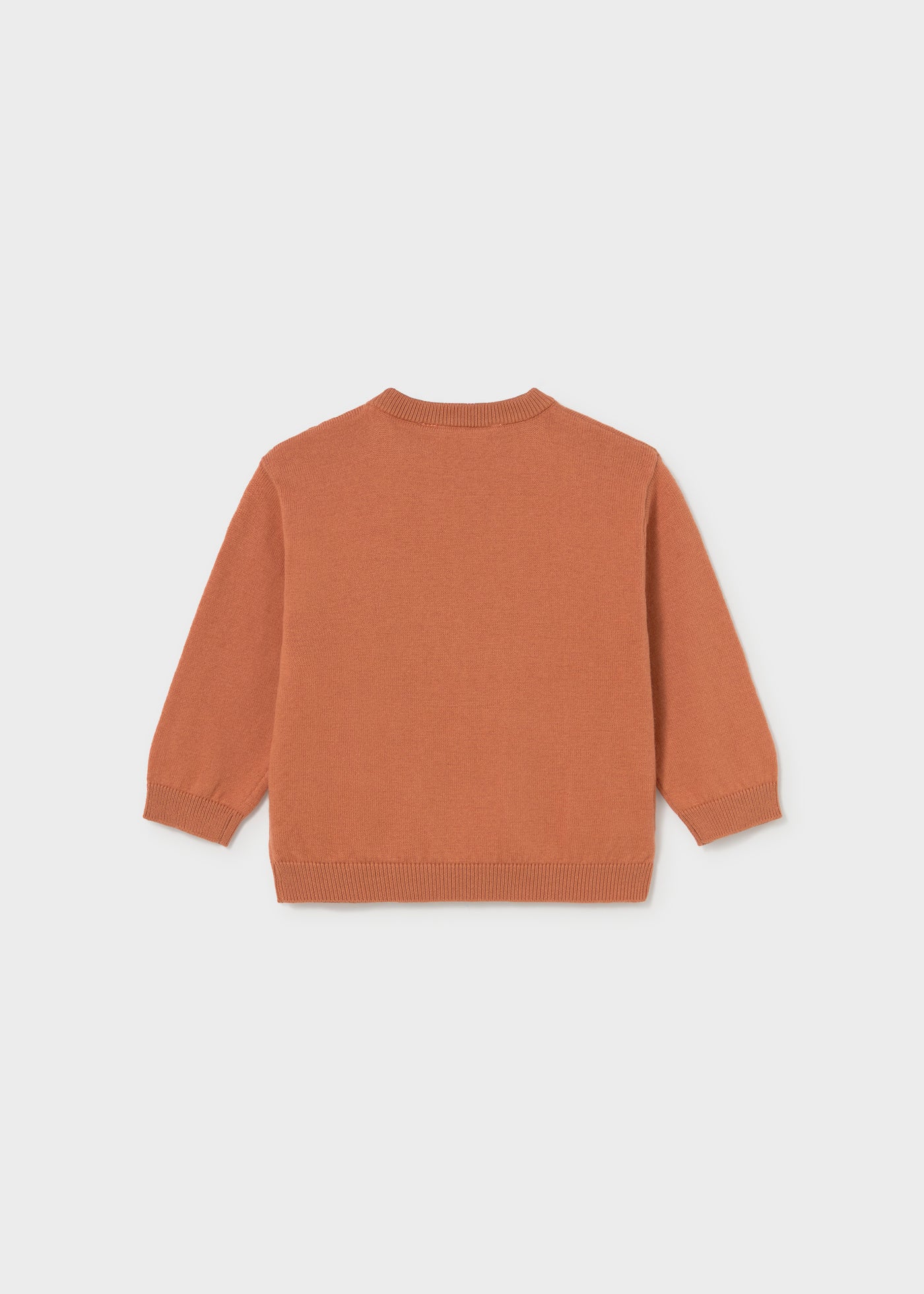 Baby Animal Intarsia Sweater