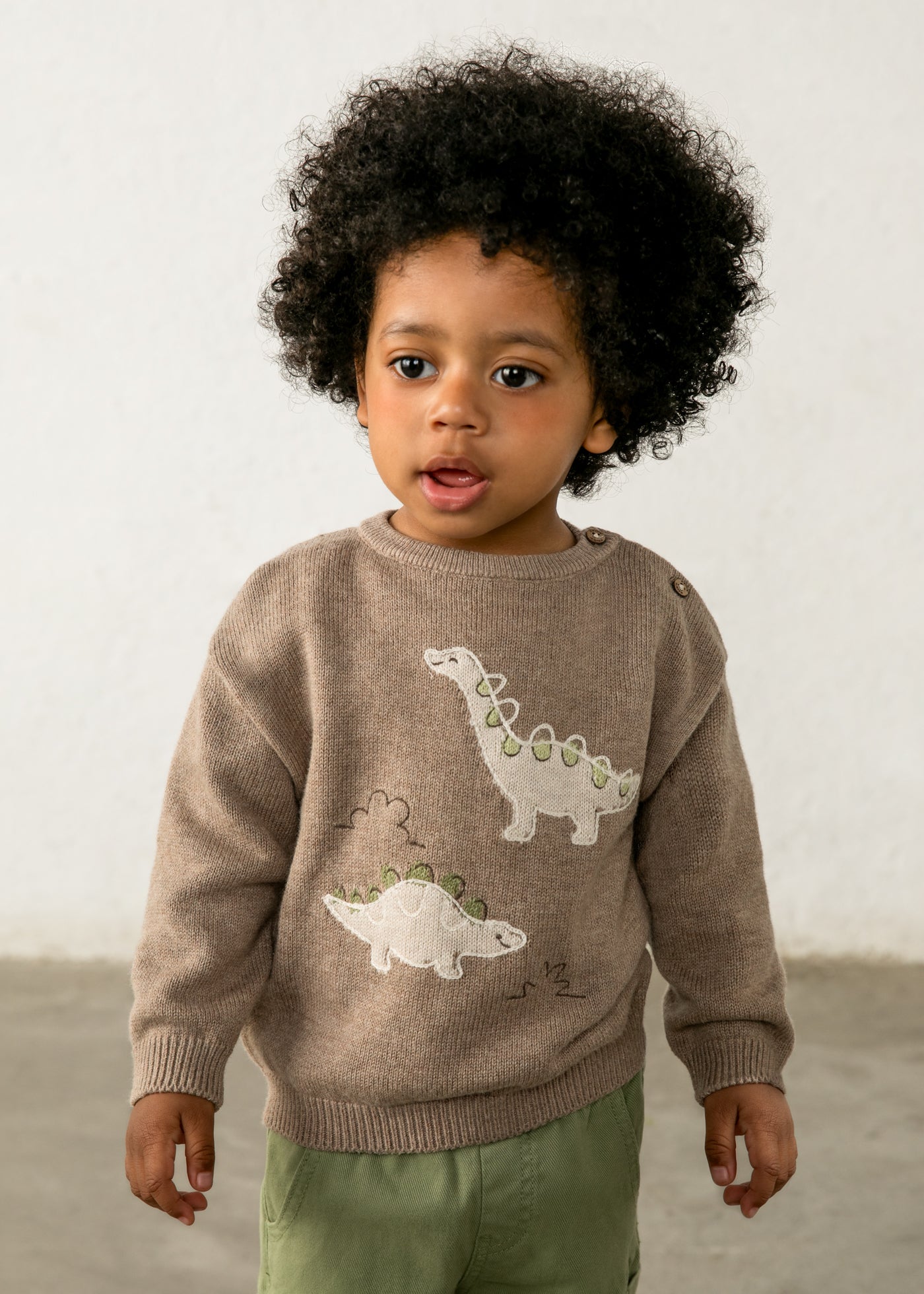 Baby Intarsia Sweater