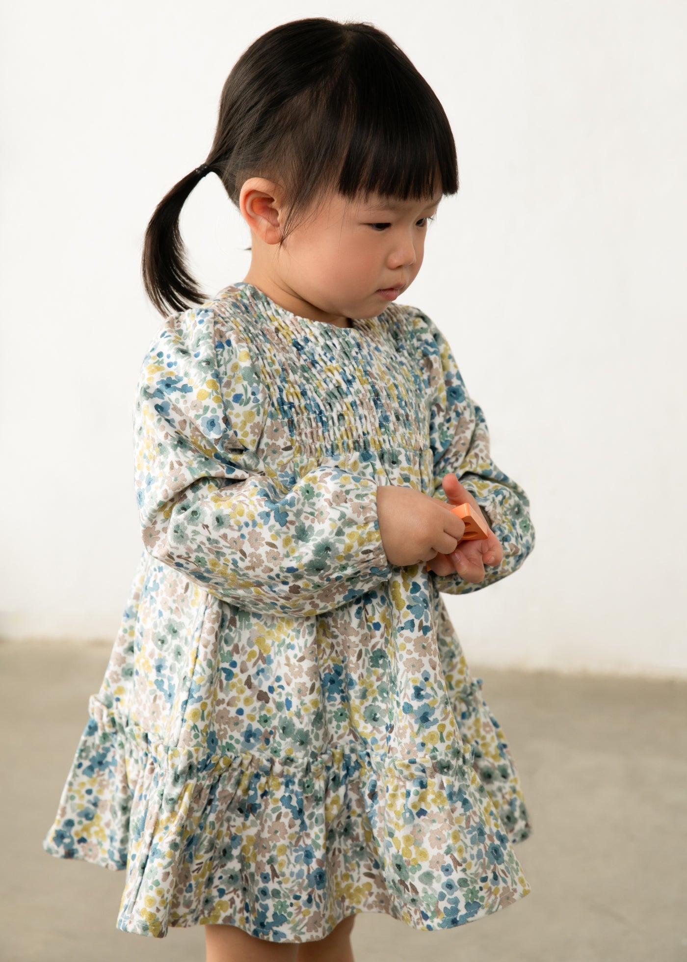Baby Printed Velvet Dress