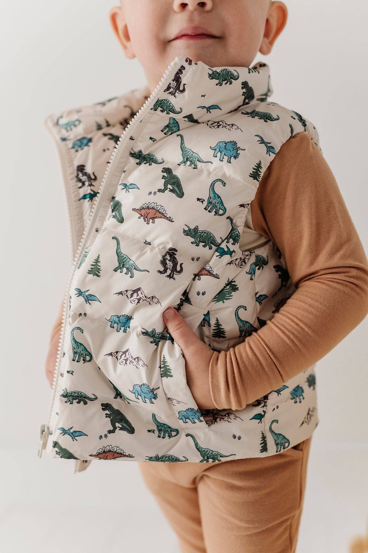 Dino Land Puffer Vest