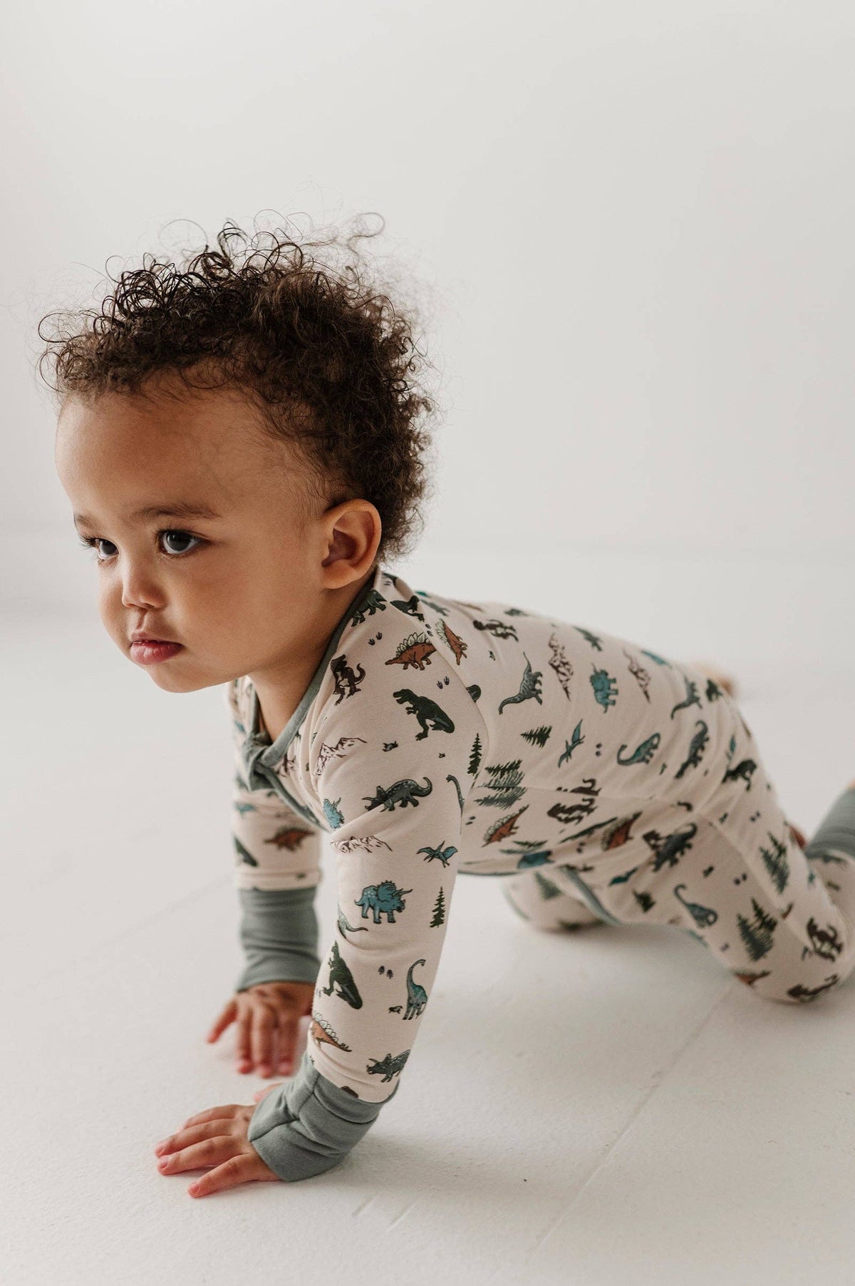 Dino Land Long Sleeve Zip Romper