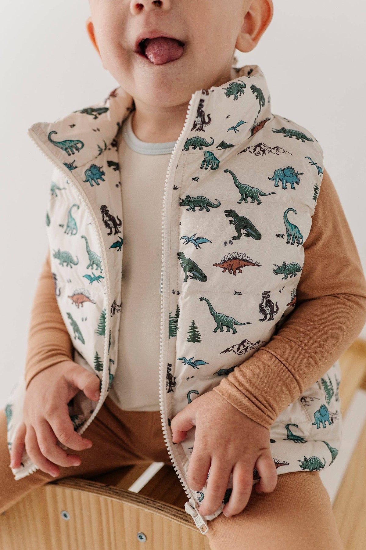 Dino Land Puffer Vest