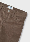 Mocha Corduroy glitter pants