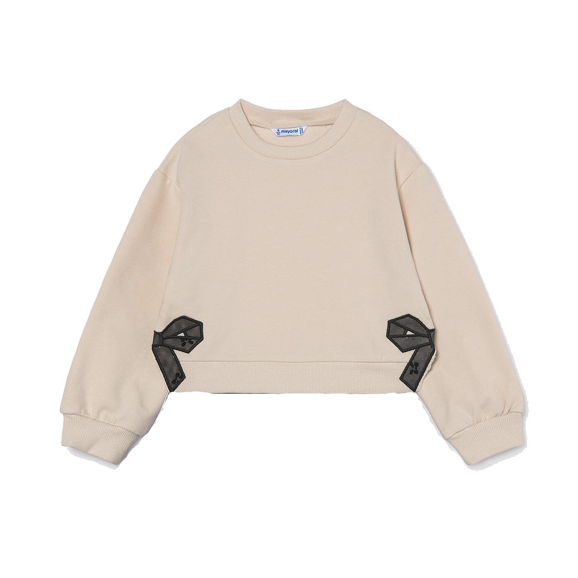 Girl Tulle Skirt and Sweatshirt Set