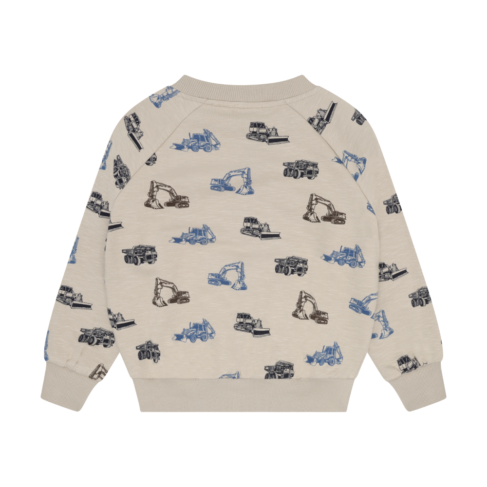 Feather Gray Sweatshirt LS AOP