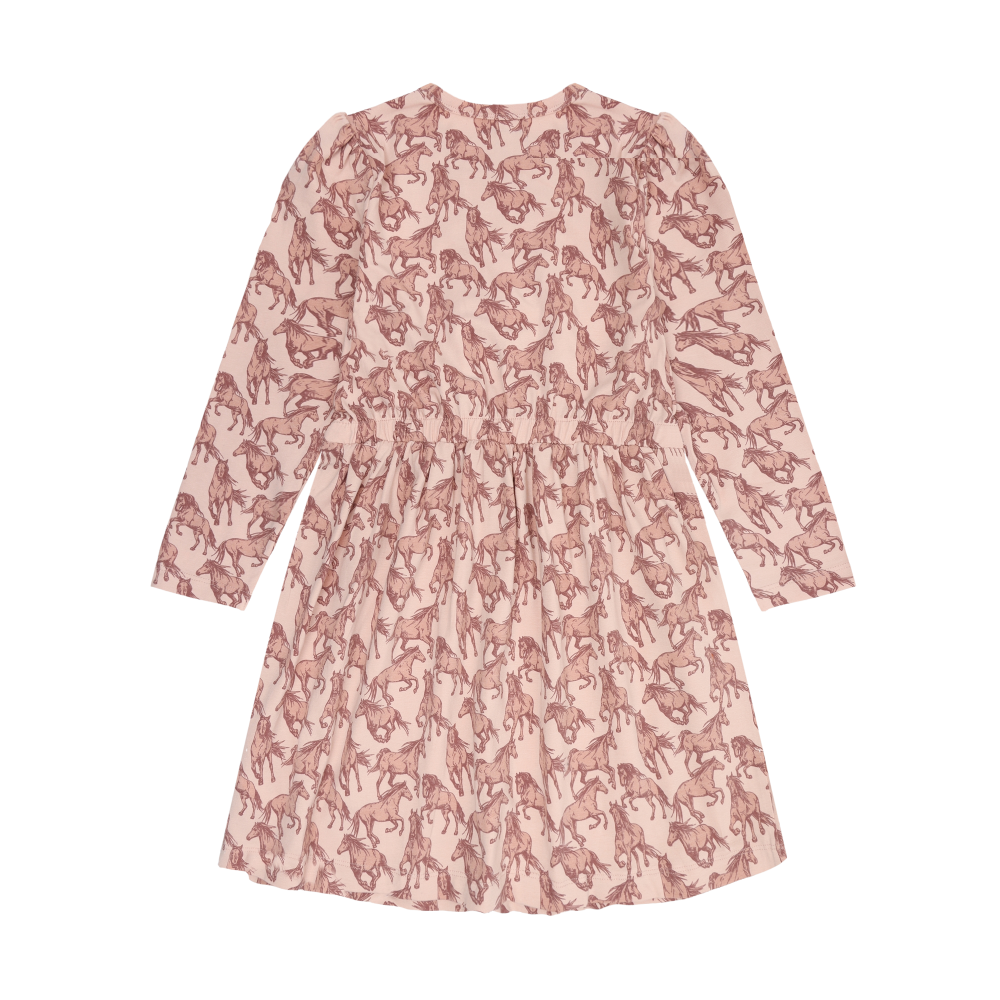 Cameo Rose Dress LS AOP