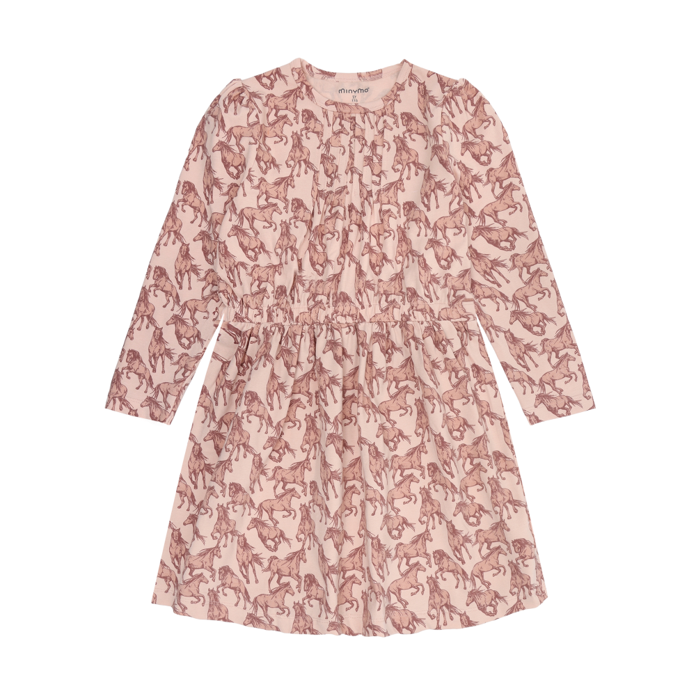 Cameo Rose Dress LS AOP