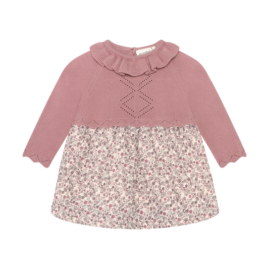 Nostalgia Rose Dress LS AOP