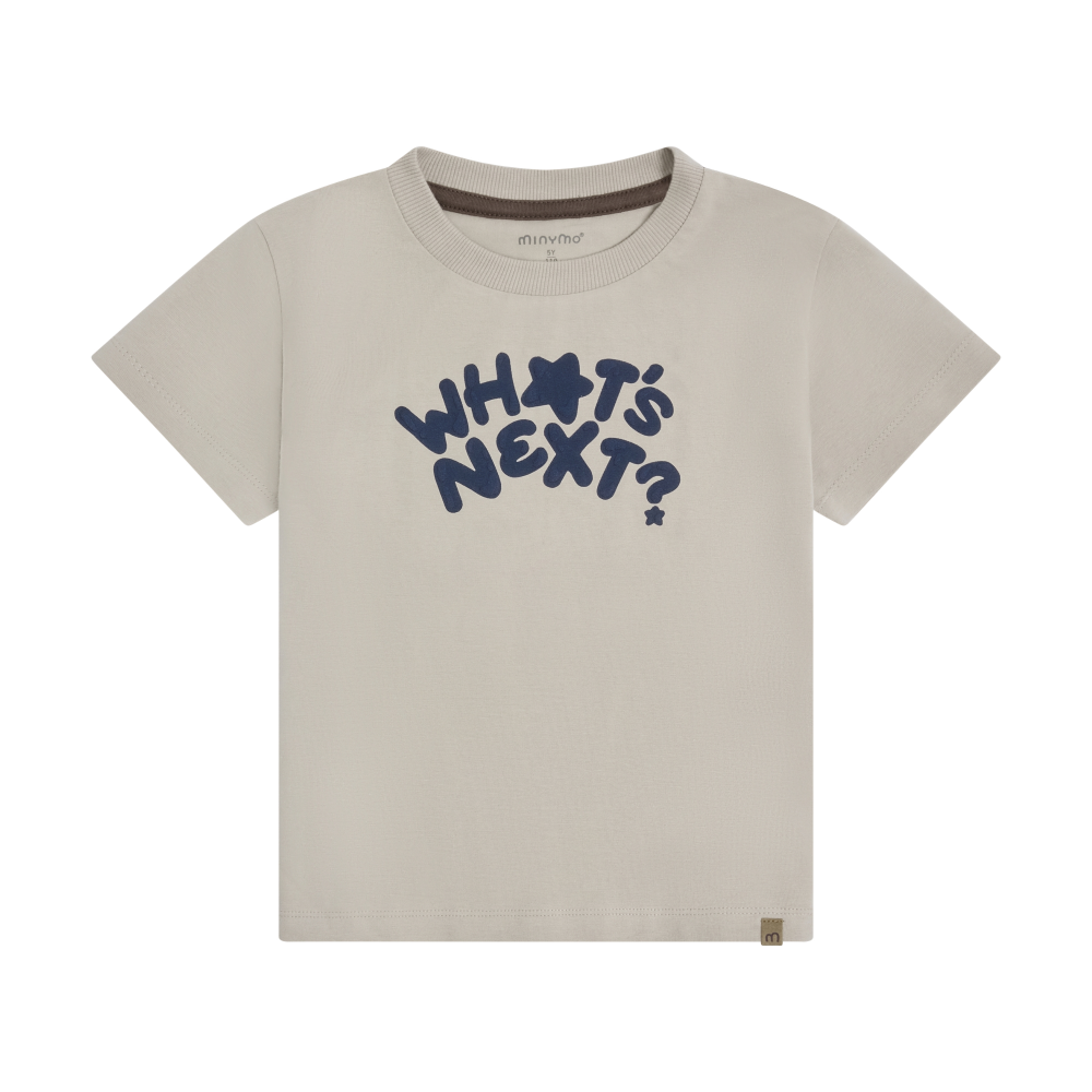 Feather Gray T-shirt SS