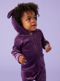 Bunny Ears Velour Baby Hoodie: Purple Punch