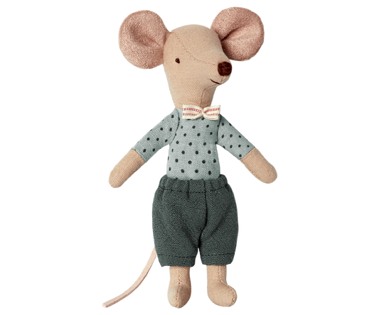 Mouse Big Brother In Box