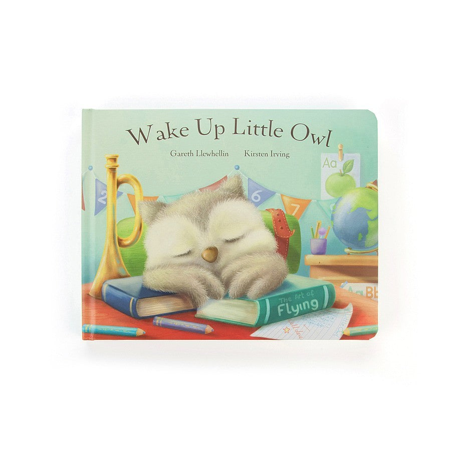 Wake Up Little Owl Board Book