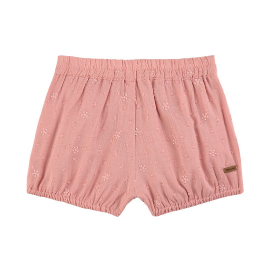 Embroidered Shorts: Rose