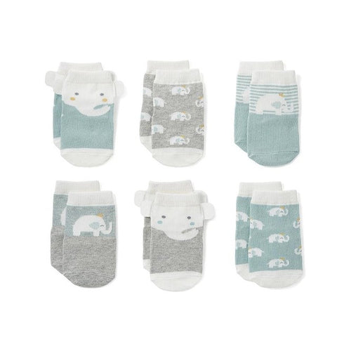 Teal Elephant Socks 6pk