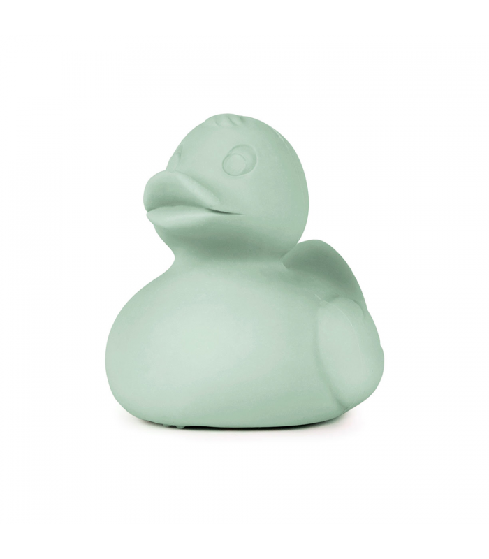 Mint Duck Bath Toy